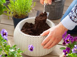 50 Pcs 30mm Organic Coco Coir Pellets for Seed Starter, Compressed Coir Potting Soil for Planting, Soil for Indoor Plants Herbs Flowers Vegetables