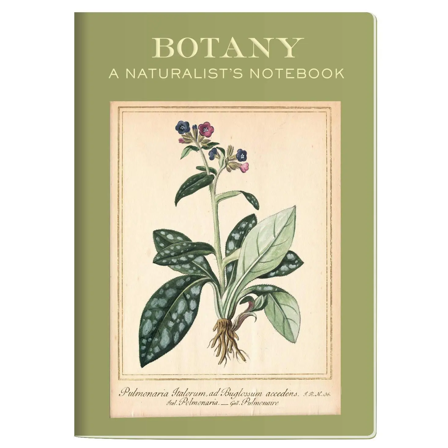 Botany Passport Sized Mini Notebook
