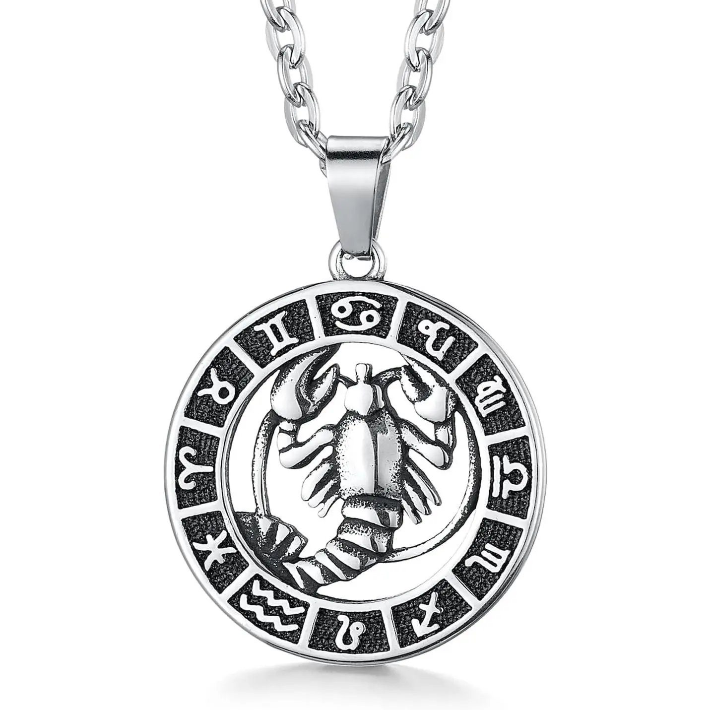 Zodiac Sign Pendant Necklaces for Women Men Constellation Astrology  | Stainless Steel Material, Leo Constellation Medallion Celestial Horoscope , Personalized Birthday
