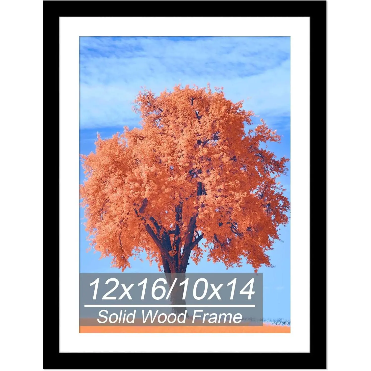 12x16 Picture Frame Black, Solid   Art Painting Frames 30x40cm, Display Pictures 10x14 with Mat or 12 x 16 Without Mat, 16x12 Frame for Photos Posters Prints Artworks Puzzles, Wall