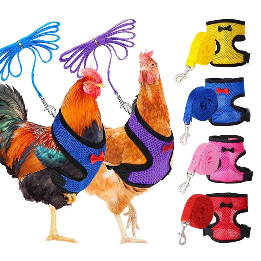 Multi-Size Adjustable Poultry Harness & Lead Set for Chicken, Duck, Goose, Hen - Mesh Breathable Vest, Matching Collar, Bow Accessory - Pet Bird Walking Aid Supplies, Lightweight, Comfortable And Soft