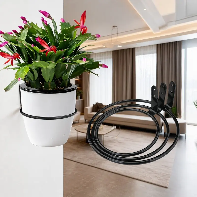 2-Piece Wall-Mounted Iron Ring Plant Stand with Expansion Screws, Easy Installation, Multi-Functional Hanging Rack for Plants, Bins, Basketball, Pet Food Bowl, Indoor Plant Holder, Planter Rack