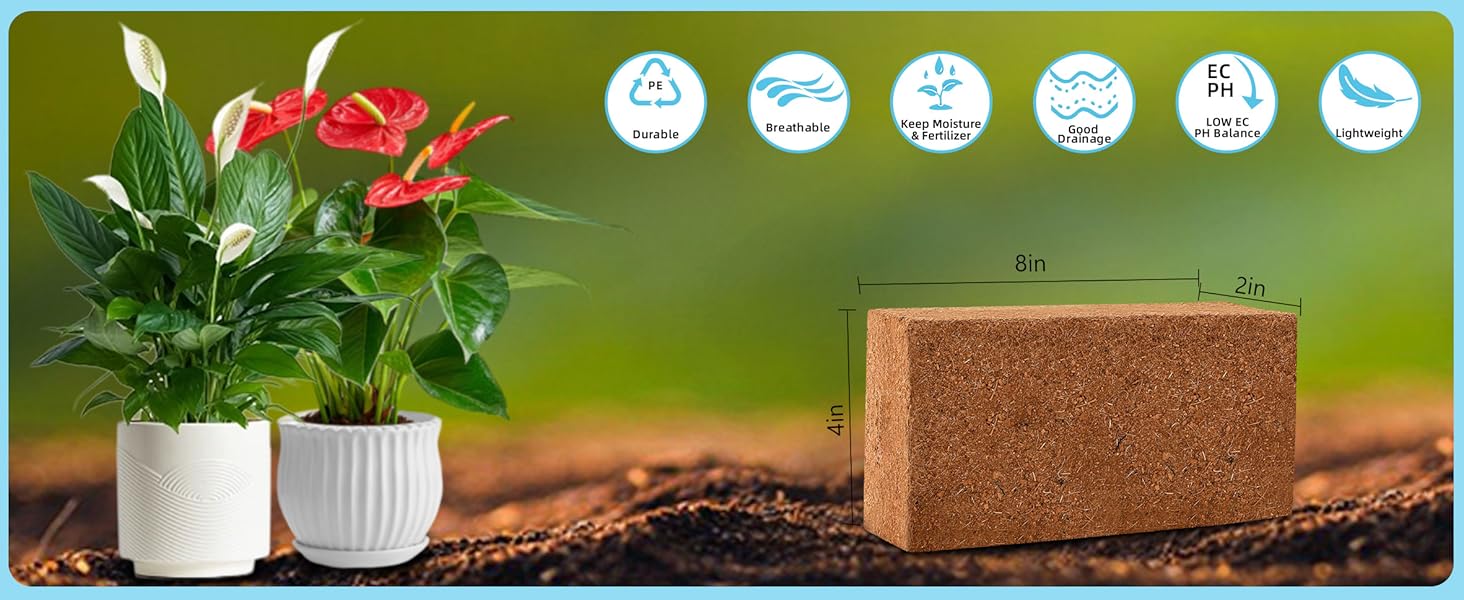 Coco Coir Bricks 6 Pack 100% Organic Peat Moss, Fiber Husk for Planting,, Potting Soil Substrate