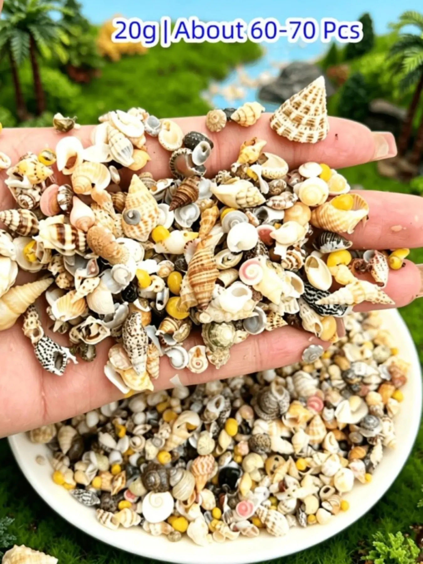 A pack contains mini conches, shells, starfish, and other small ocean-themed ornaments. Suitable for miniature landscape decoration, ocean-themed parties, weddings, home decoration, fish tank and vase filling, and DIY craft making.