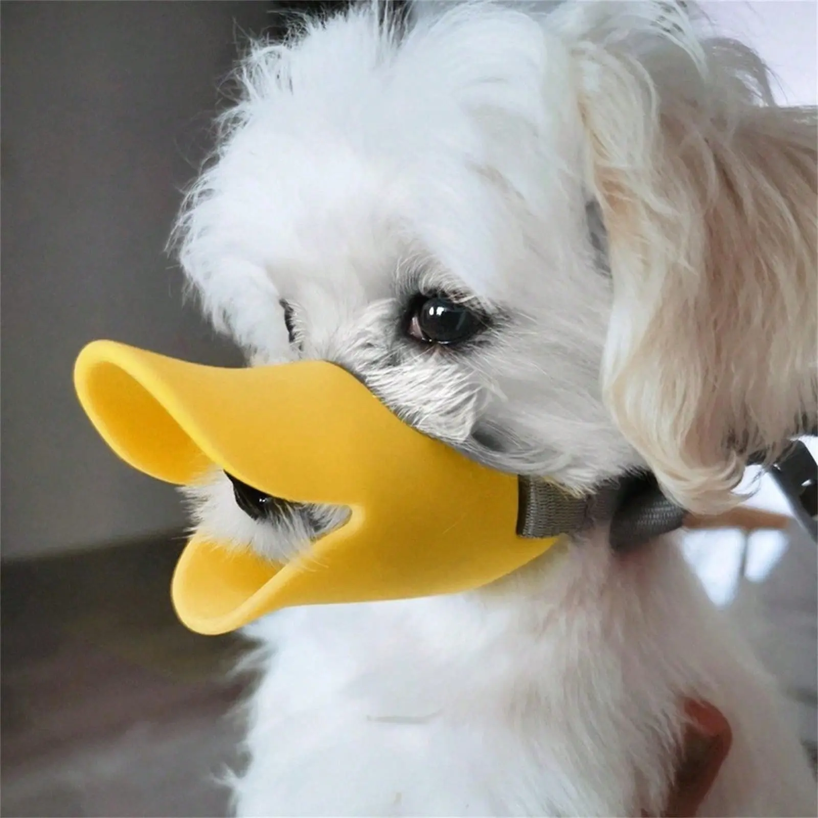 1pc Silicone Dog Muzzle - Anti-Bite, Anti-Eating, Anti-Barking Duck Mask for Small Pets 1pc Silicone Dog Muzzle - Anti-Bite, Anti-Eating, Anti-Barking Duck Mask for Small Pets