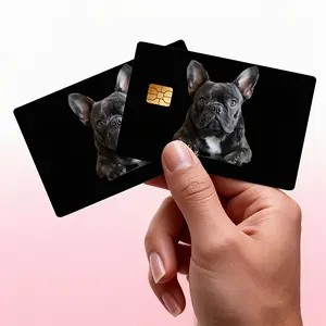 A French Bulldog, Bank Card, Credit Card, Debit Card, Transportation Card, Room Key Card, And Skin Stickers
