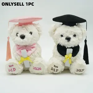 Teddy Bear Plush Toy, Cute Doctor Bear Stuffed Animal, Graduation Season Gift, Adorable Small Bear Doll, Perfect for Kids and Collectors