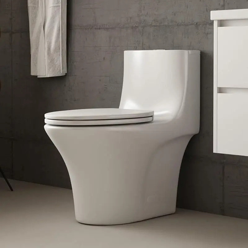 Elongated One-Piece Toilet, Dual Flushing Toilet with 17" ADA Comfortable Chair Seat, 1.1/1.6 GPF High-Efficiency Modern Toilet, White Toilet Bowl For 12" Rough-In