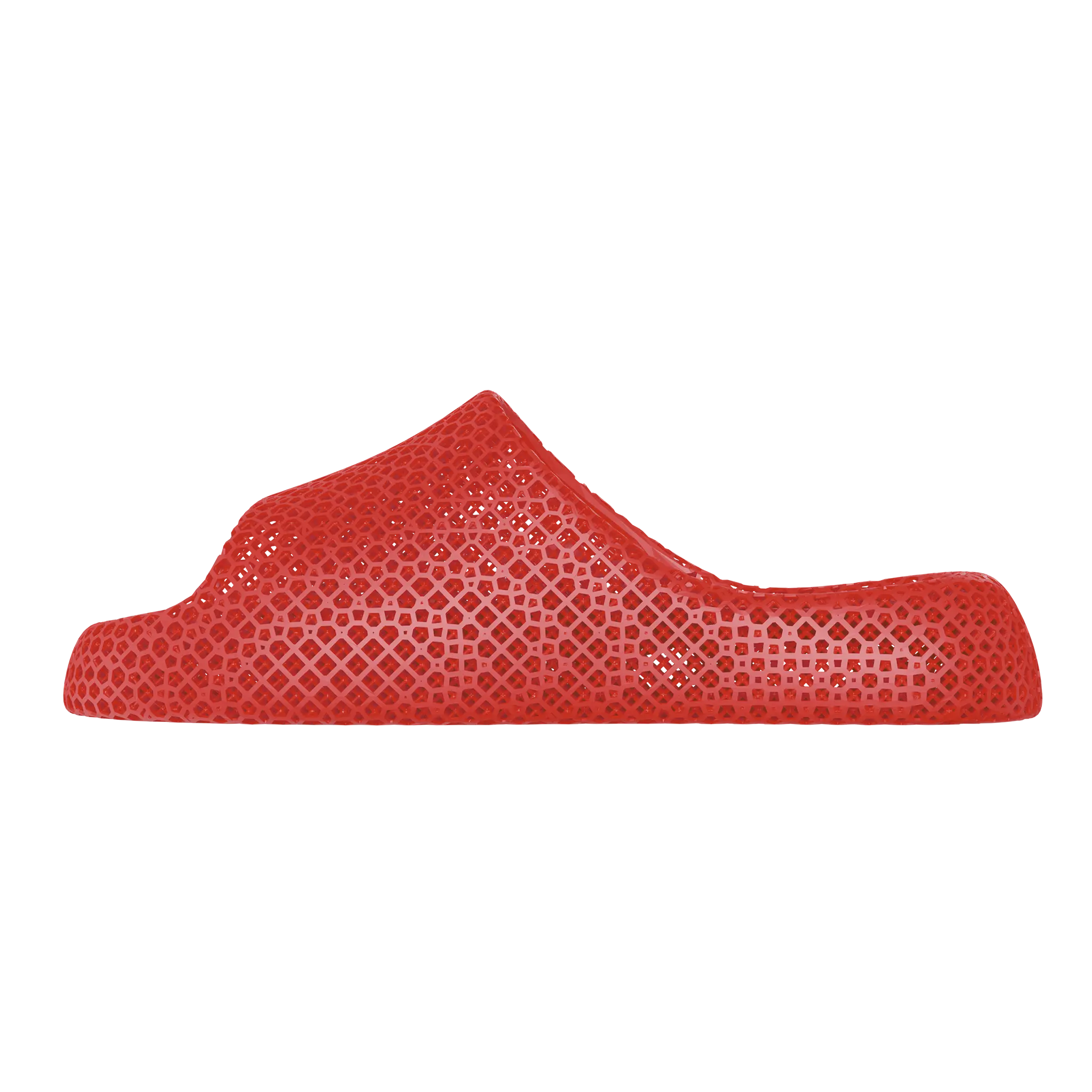 STARAY - Dolphin - 3D Printed Cushion Slippers - Breathable Comfort Footwear