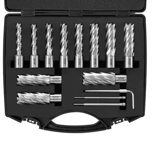 VEVOR 13 Pcs Annular Cutter Set, Weldon Shank Mag Drill Bits (7/16"-1-1/16" Cutting Diameter, 2" Cutting Depth), M2AL HSS, 2 Pilot Pins, Hex Wrench, Portable Case, 3.7 lbs All-Inclusive Package, Geometric Blade, for Magnetic Drills