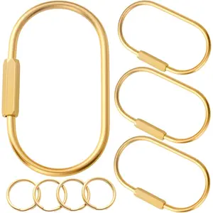 Gold Brass Key Rings, Purse Bag Charms for Handbags, Screw Lock Key Organizer, Carabiner Keychain Clip for KeysGift.