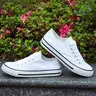 Low-top lace-up canvas shoes for women, lightweight and comfy sneaker trainer casual footwear, classic trendy couple tennis sneakers Lace Up Trainers suitable for daily activities