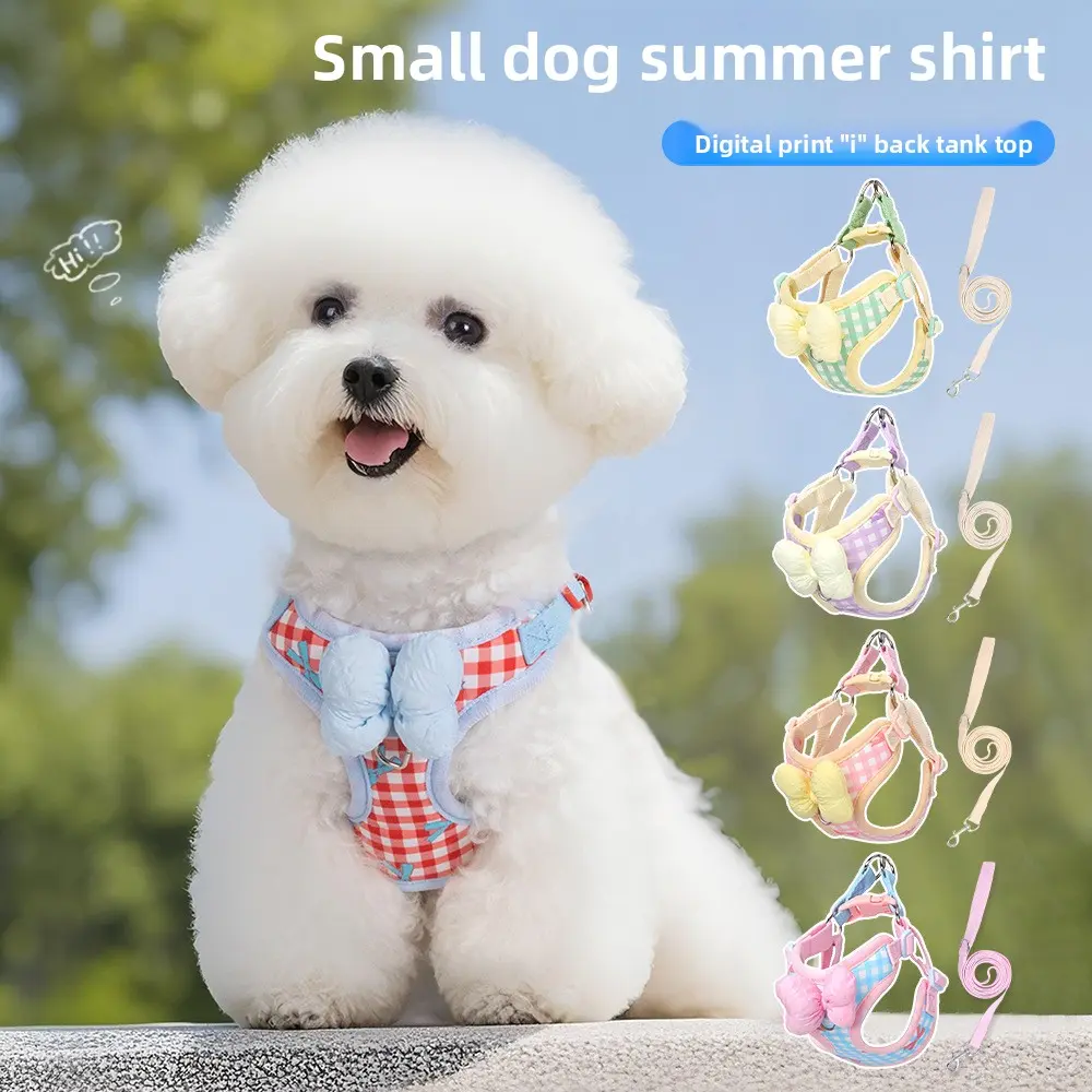 Cloth Breathable Dog Harness and Leash Set - Small Pet Outdoor Walking Accessory