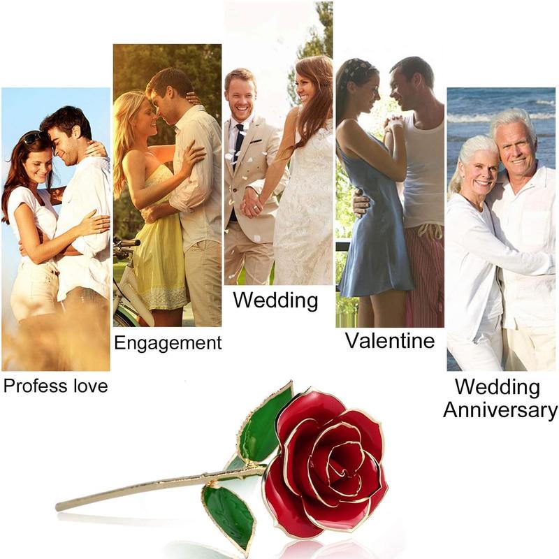 Dipped Rose,24K  Rose with Transparent Stand,Real Long Stem Eternity Rose Flower  for Her,Mom,Wife,Girlfriend,Anniversary,Mothers Day,Birthday,Valentine's,Wedding