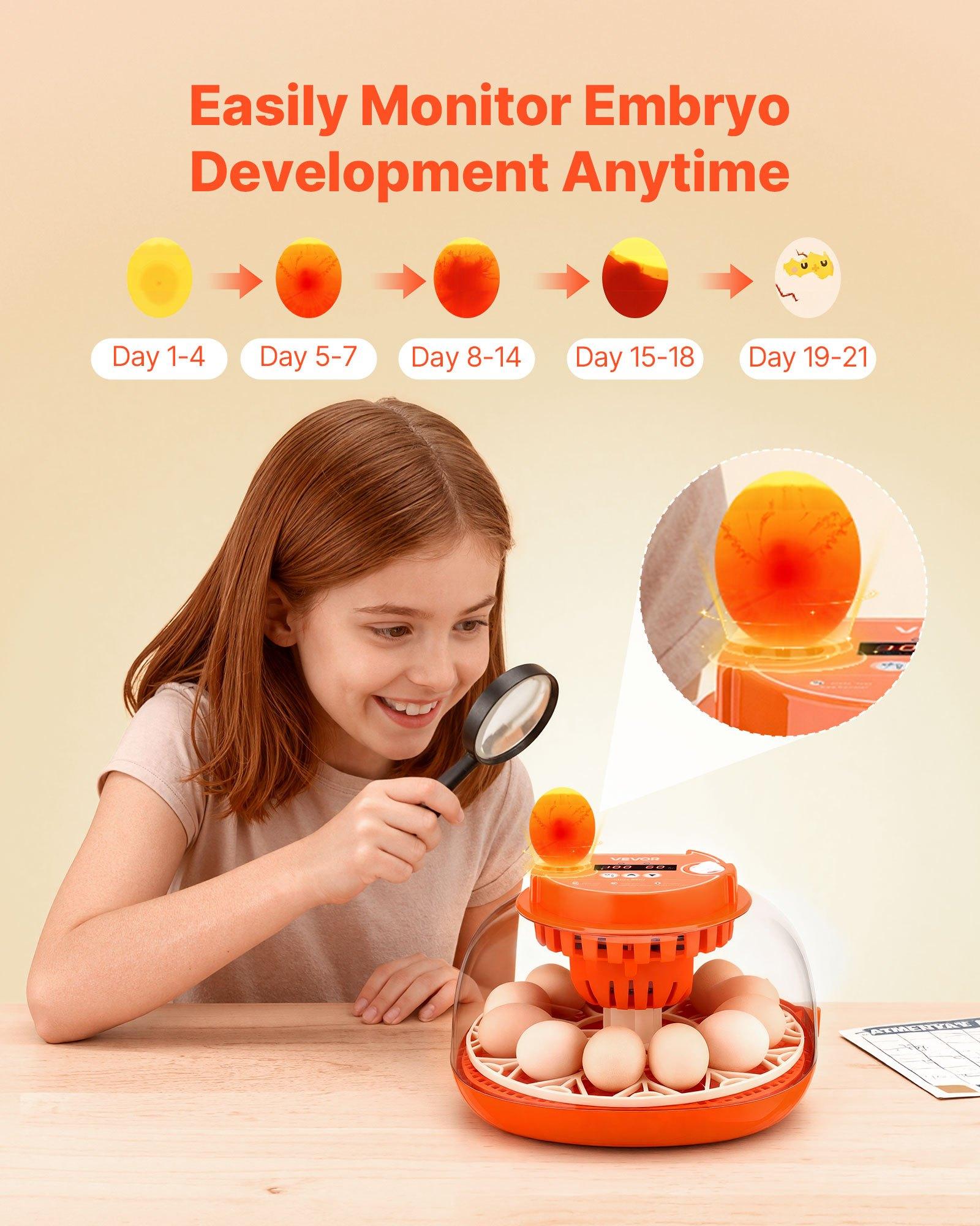 VEVOR 12 Egg Incubator, Automatic Egg Turner with LED Candler, Temperature & Humidity Control, 360 °   View Clear Window, Poultry Eggs Incubator for Home Farm, Hatching Chicks Ducks Goose Quail