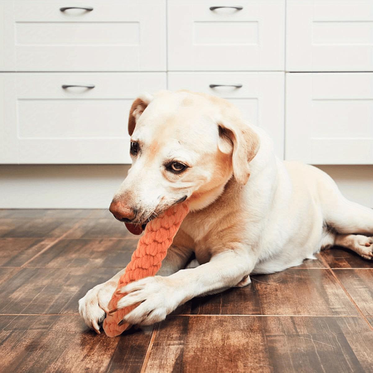 Bite-Resistant Carrot-Shaped Dog Toy with Rope Knot - Durable Interactive Chew Toy for Medium-Sized Dogs, Teeth Cleaning & Tug-of-War Play, Fun Fetch Toy for Aggressive Chewers surprise gift harness Bungee Inflatable Balls Set