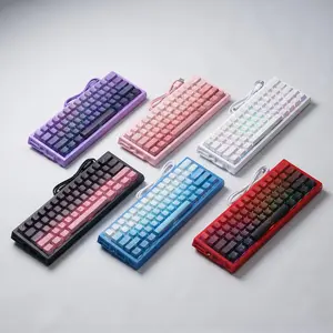 61-Key Magnetic Switch Gaming Keyboard, 60 Percent PC Keyboard with Jade Magnetic Switches, RGB, Full N-Key Rollover, 6 Colors Available - Ideal for Gaming & Work, Gamer Stuff, PC Accessories