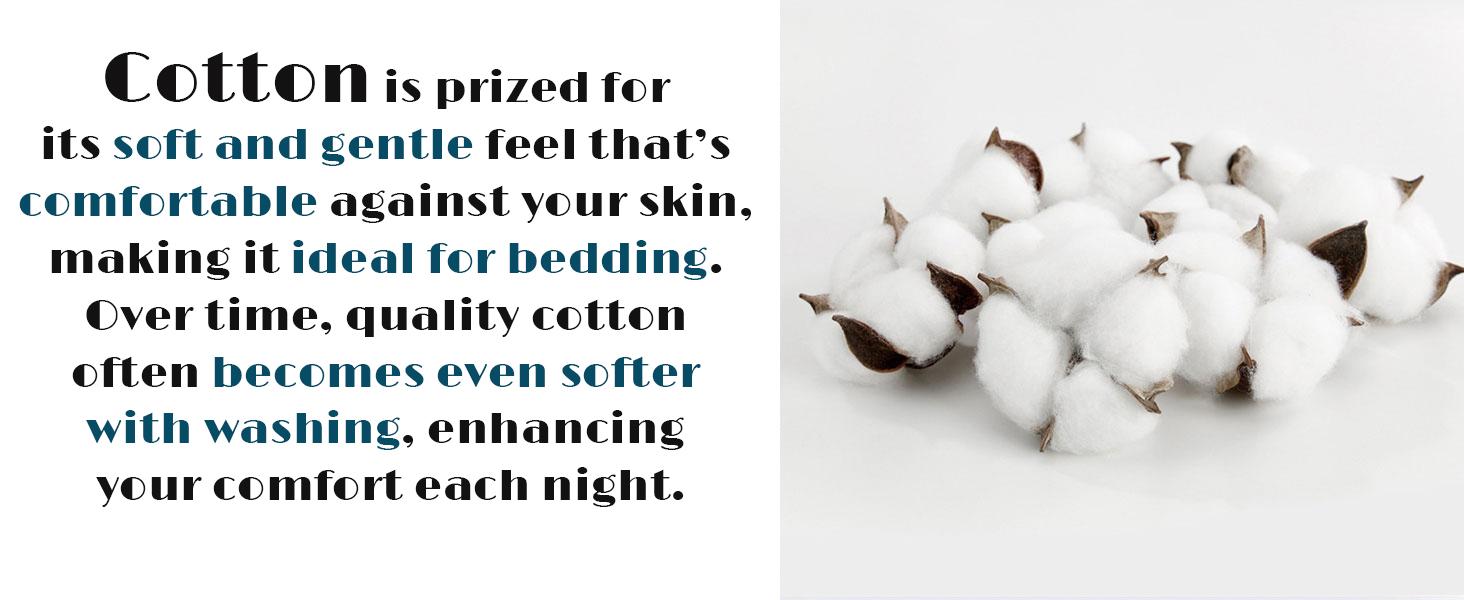 Twin Size Set Cotton Toile Bedding Blue Floral Vintage-Inspired Set 2-Piece