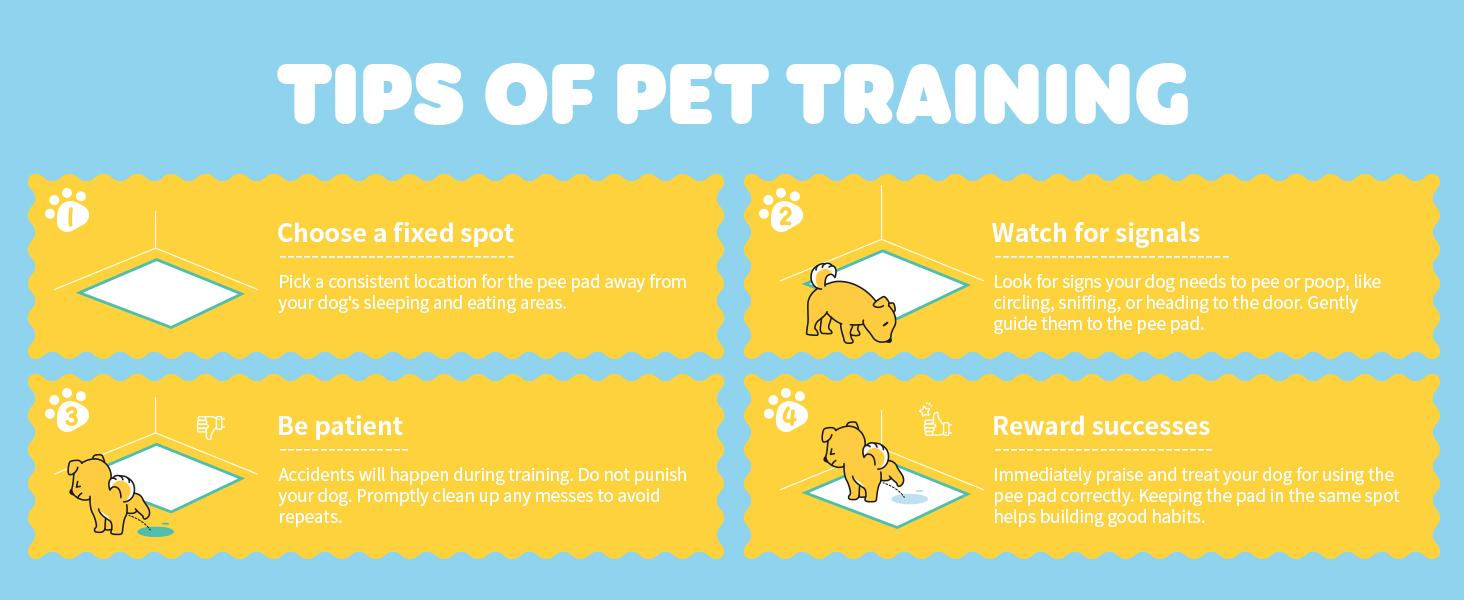 40 Count 24" x 36" XL Disposable Dog Pee Pads, Super Absorbent Leakproof Quick Drying Puppy Pee Pads for Dogs, Extra Large Disposable Dog Training Pads