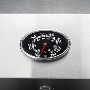 ROVSUN Portable Propane Gas Grill 12,000BTU, Tabletop Outdoor Cooking Grill for Picnic Camping RV Tailgating Patio Garden BBQ, Stainless Steel