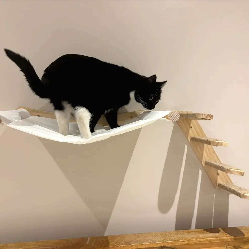 Wall-Mounted Cat Hammock, Four-Tier Cat Climbing ladder, Indoor Cat Play Set, Space-Saving Pet Furniture, Ideal for Cats to Explore and Climb, Home, Wood