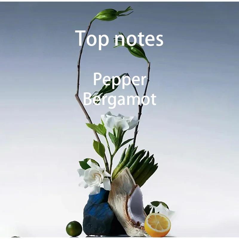 Long Lasting Fragrance for Women Men 100ml Eau De Parfum Classic Fresh Scent Daily Use Perfume High Quality Fast Shipping