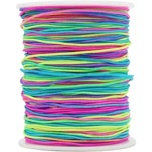 1mm Elastic String, 328  Rainbow Stretchy Bracelet String Beading Cord for Bracelets, Necklaces,  Making, Pony Beads and Crafts