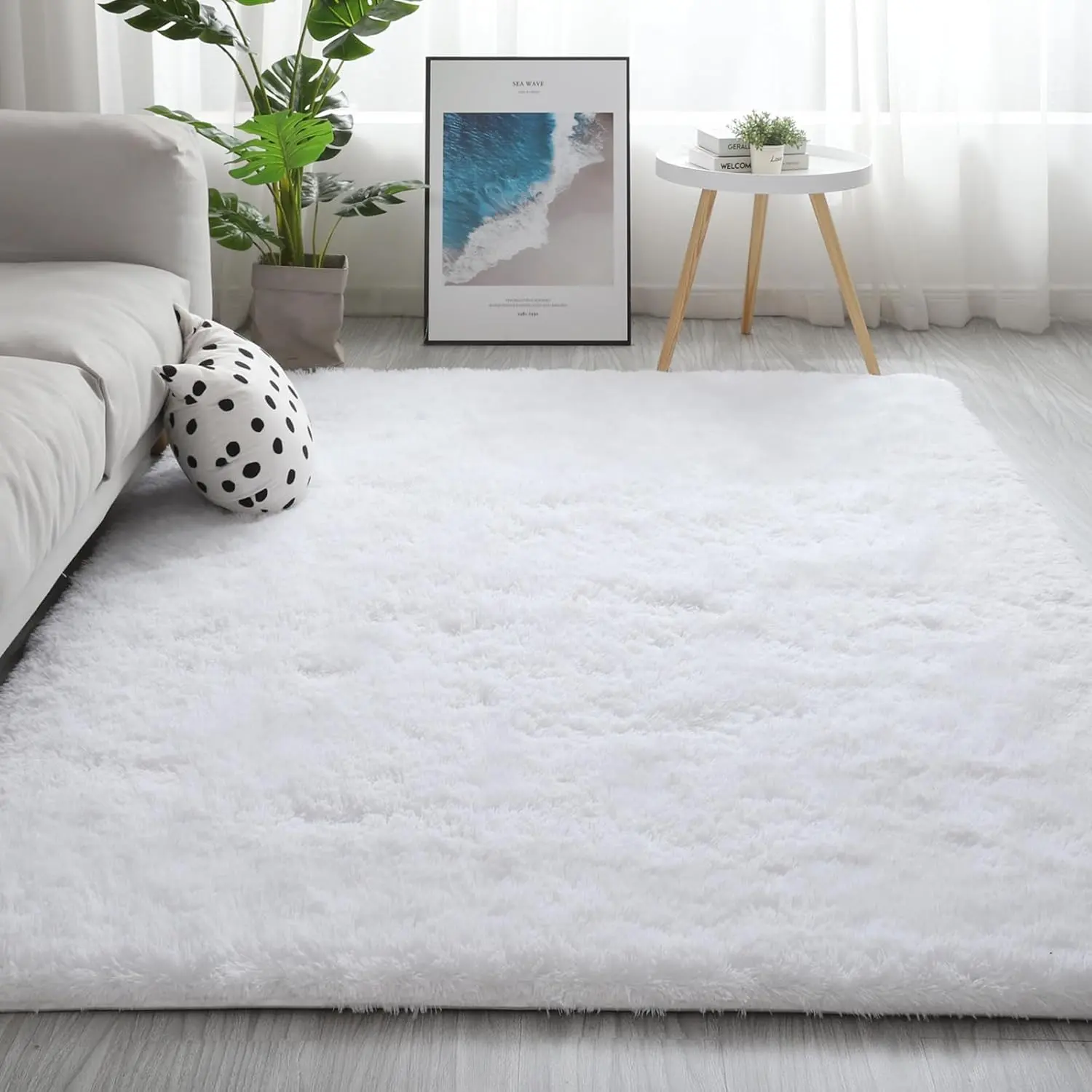 Shag Area Rugs for Bedroom Living Room,Ultra Soft Fluffy Area Rugs for Dorm, Indoor Carpet Nursery Rugs for Kids Room Home Decor, Tufted Fluffy Rug