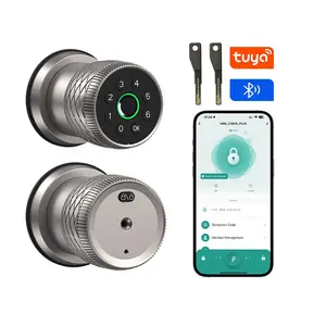 Smart Ball Lock Set, Full Aluminum Cnc Handle, Fingerprint/pin/key/graffiti APP Unlock, Suitable for Office and Hotel