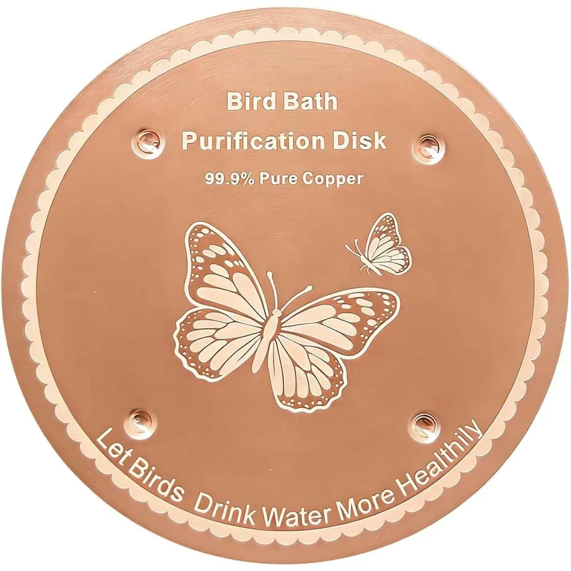 1 Pack Bird Bath Purification Copper Disk for Outside, 99.99% Pure Copper Disc for Bird Bath, Physical Safe Water Cleaner for Outdoor Birdbaths Bowls, - Use (Butterfly)