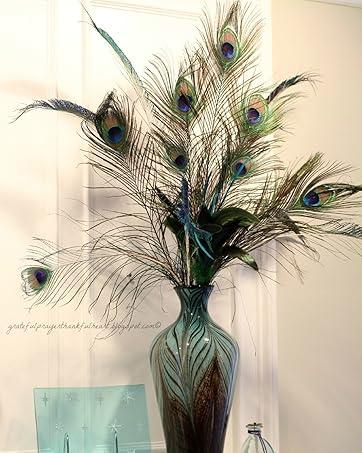 Extendable Ostrich Feather Duster-40 inches Fluffy Long Handle Reusable Feather Duster For Cleaning Ceiling Fan,Pendant lamp, High Ceiling, Blinds, Furniture