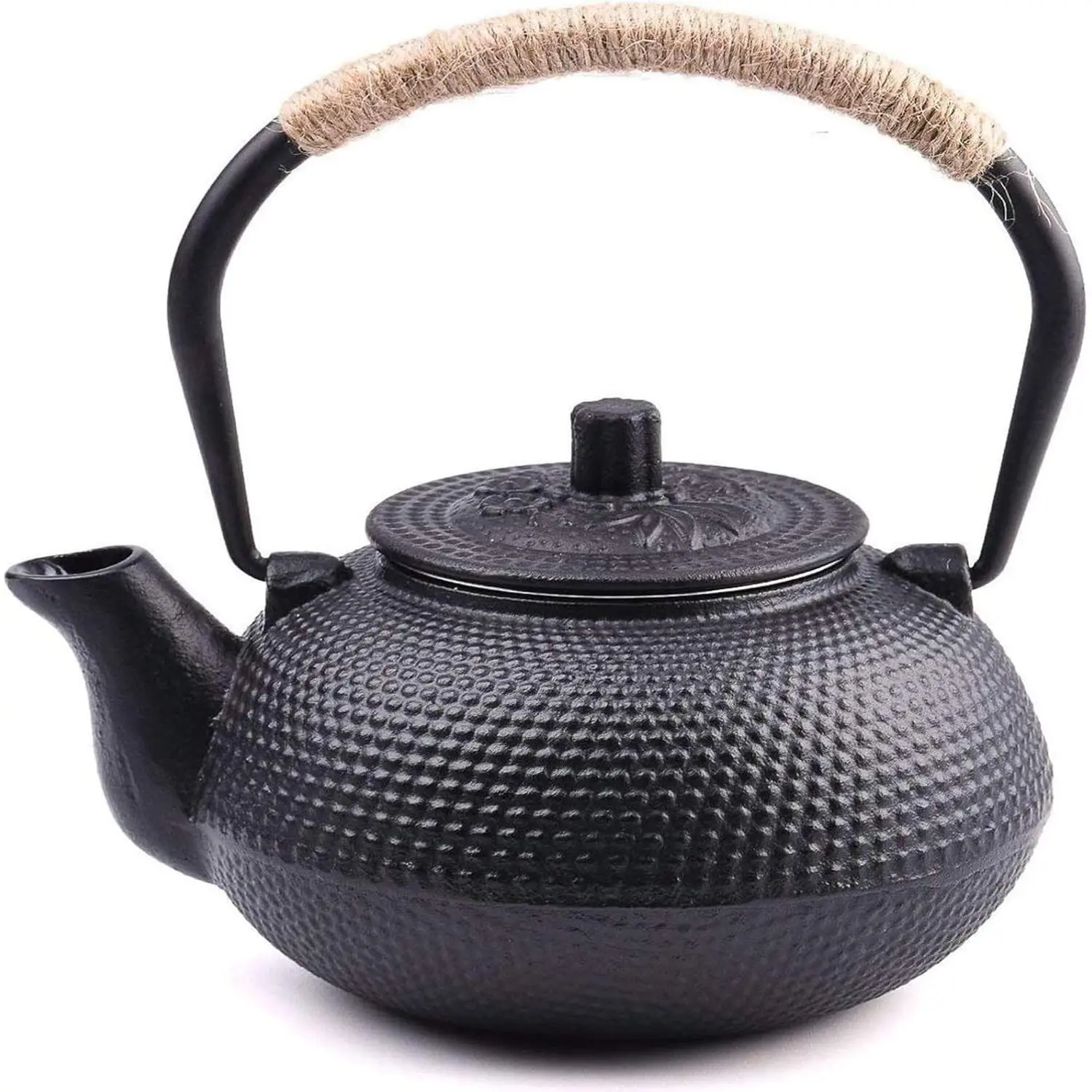 Japanese Tetsubin Cast Iron Teapot with Stainless Steel Infuser, Stovetop Safe Enameled Interior, 22 oz/650 ml