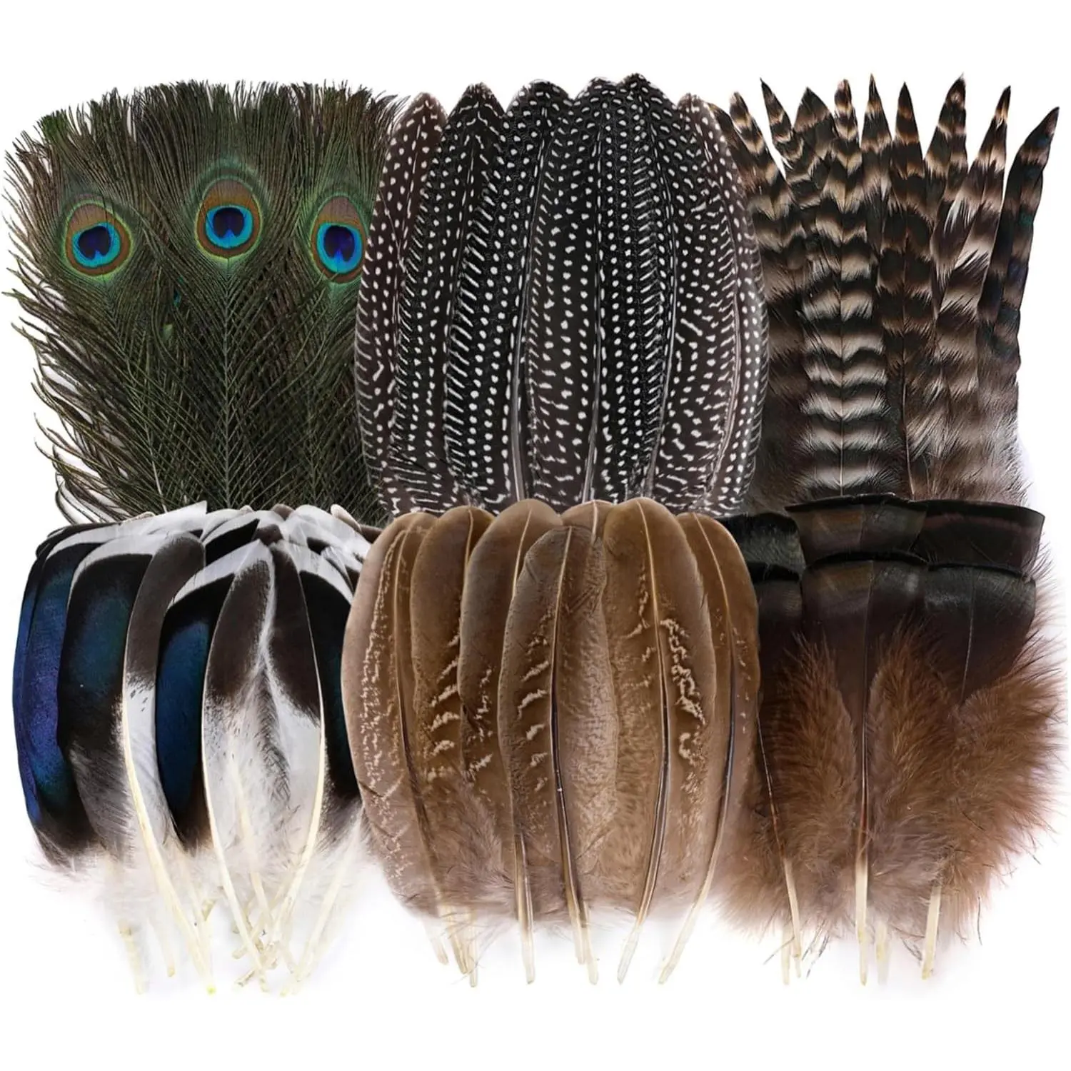 48pcs Natural Feathers Bulk - 6 Styles Assorted Peacock, Pheasant, Turkey Feathers for Craft DIY Jewelry Hat Wedding Home Party Decoration