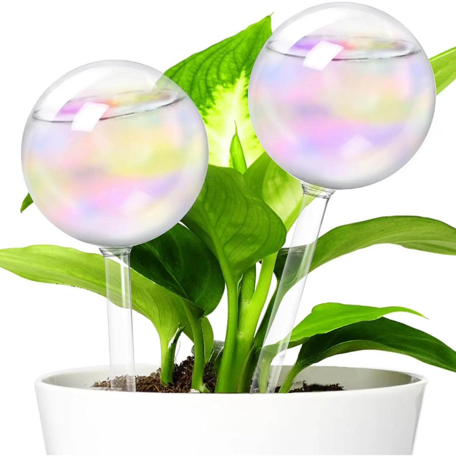 2 count Iridescent Self Watering Globes,Rainbow  Watering Insert,Automatic  Waterer Glass Bulbs,Clear Glass  Water Globes for Indoor and Outdoor