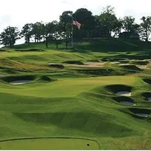 PC2.0 (Penncross) Creeping Bent Grass Seed - 5 lbs.  Golf Course Grade, Dense, Wear-Resistant Turf Grass Seeds for Tees, Putting Greens & Fairways, Ideal for High Traffic Areas