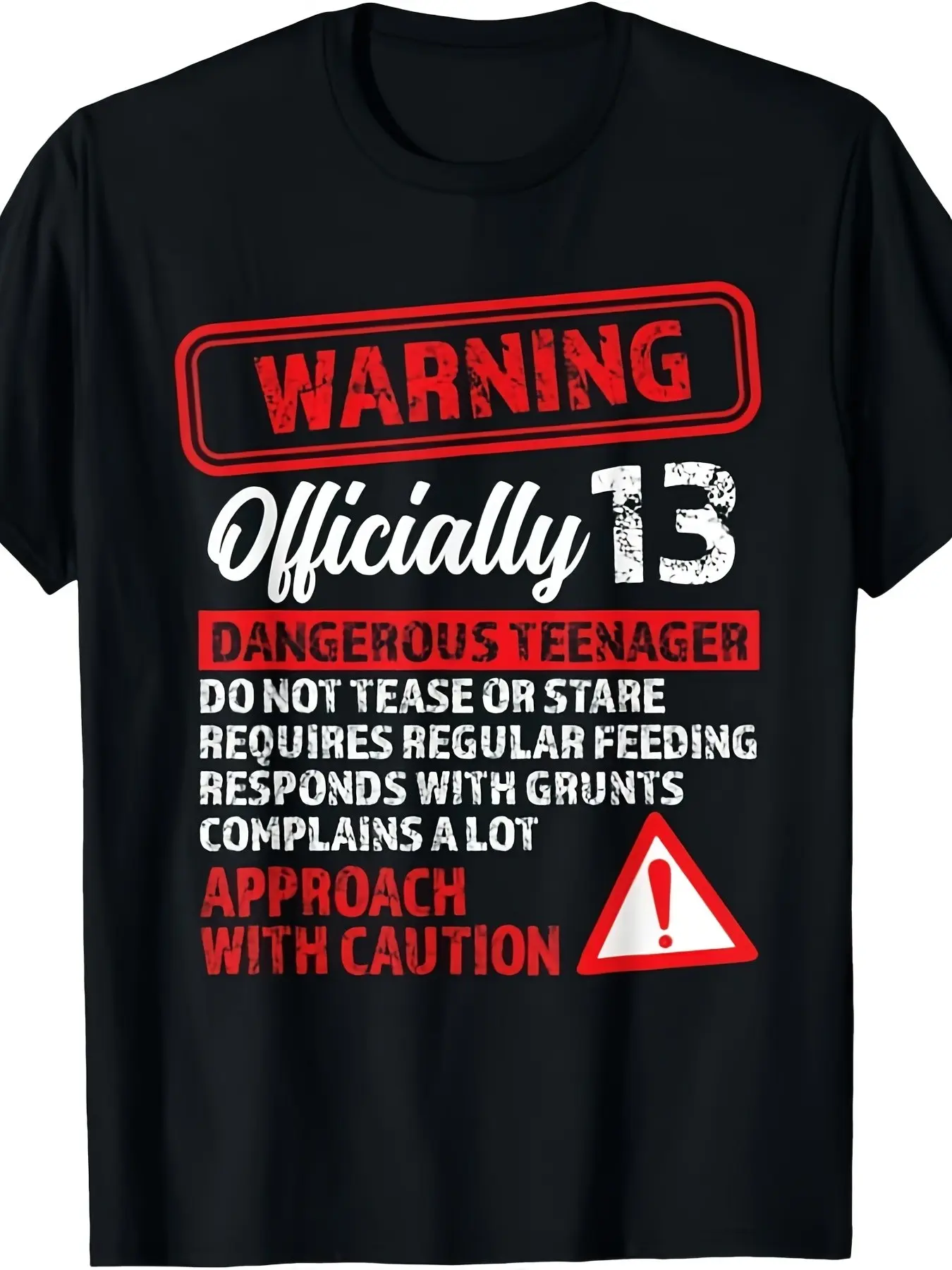 7.5oz Official Teenage 13th Birthday Gift, Unisex Summer Short Sleeve Printed T-Shirt, Loose-Fit Casual Clothing for All Seasons