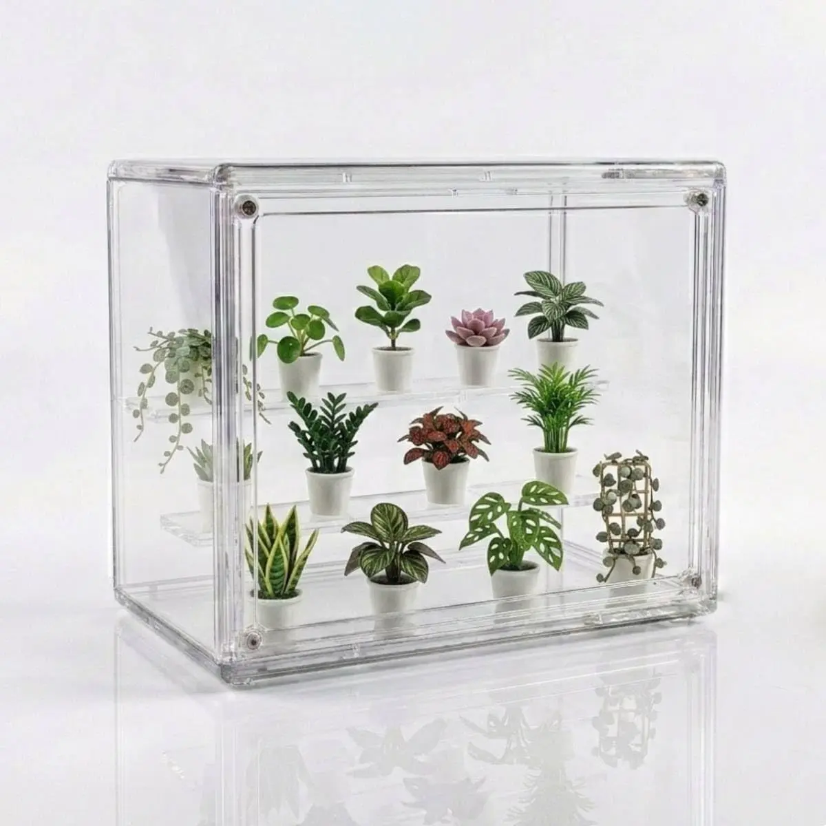 Mini Greenhouse Indoor, Clear Small Green House with  Door, Stackable Succulent Seed Starting Kit  Nature Observation Station