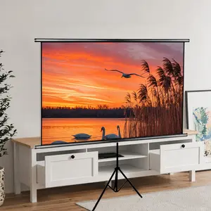 Tripod Mount Projection Screen, Adjustable Height Stand, Portable 16:9 Wrinkle-Free, Indoor Outdoor Use, Home Theater, Gaming Device