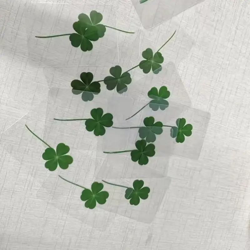 Lucky Four-Leaf Clover Card Set, Transparent Design, Birthday and Wedding Decor, Irish Style Bookmark, Party Gift, Four-Leaf Pattern