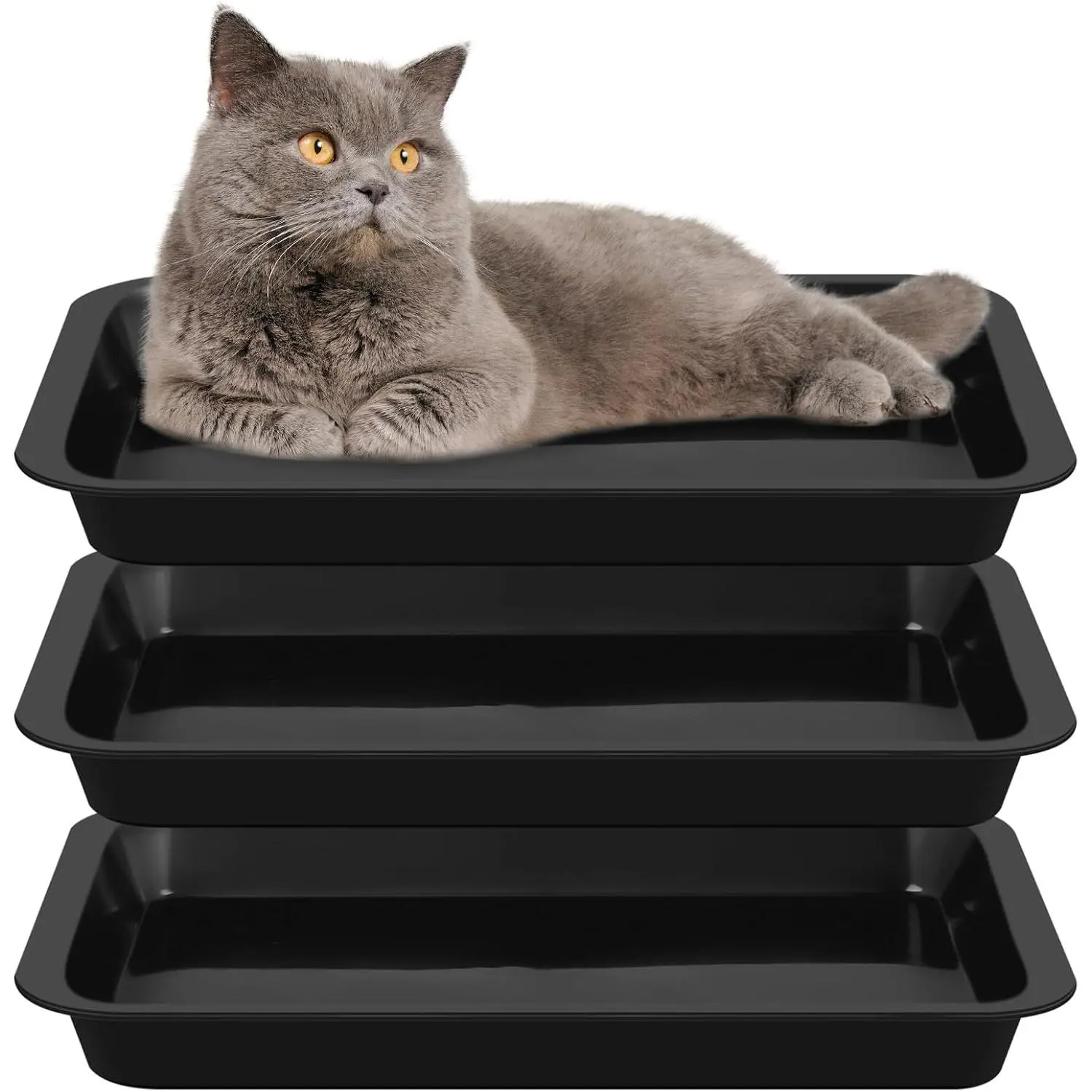 3 Pcs for you Kitten Litter Box Shallow Low Entry Open Cat Litter Box Waterproof Plastic Small Rabbit Pan Tray Travel Toilet for Senior Cat Kitten Training(Black,15.1 x 12 x 1.4 Inch)