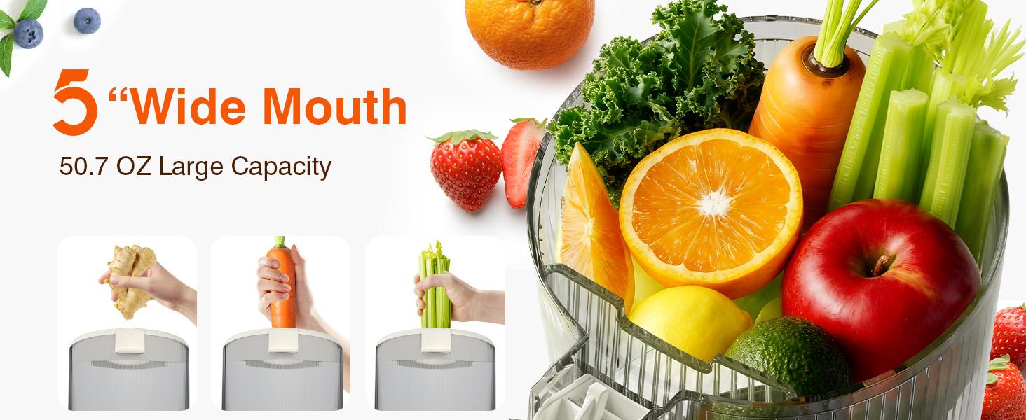 Cold Press Juicer, 2-in-1 Juicer Machines for Juice & Sorbet, with 5-Inch Wide Chute, High-Yield juice extractor for Fruits & Vegetables/High Nutrients/Reverse Mode/Easy to Clean