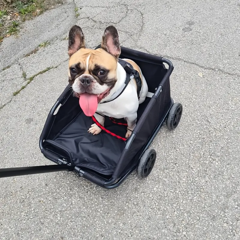 [Foldable Pet Stroller] Mini Dog Stroller, Foldable Strollers for Mini Pets With Storage Bag, Built-in Cushion And Safety Rope, Shopping Catrs With Extendable Pull Handle, Dog Carrier With Wheels