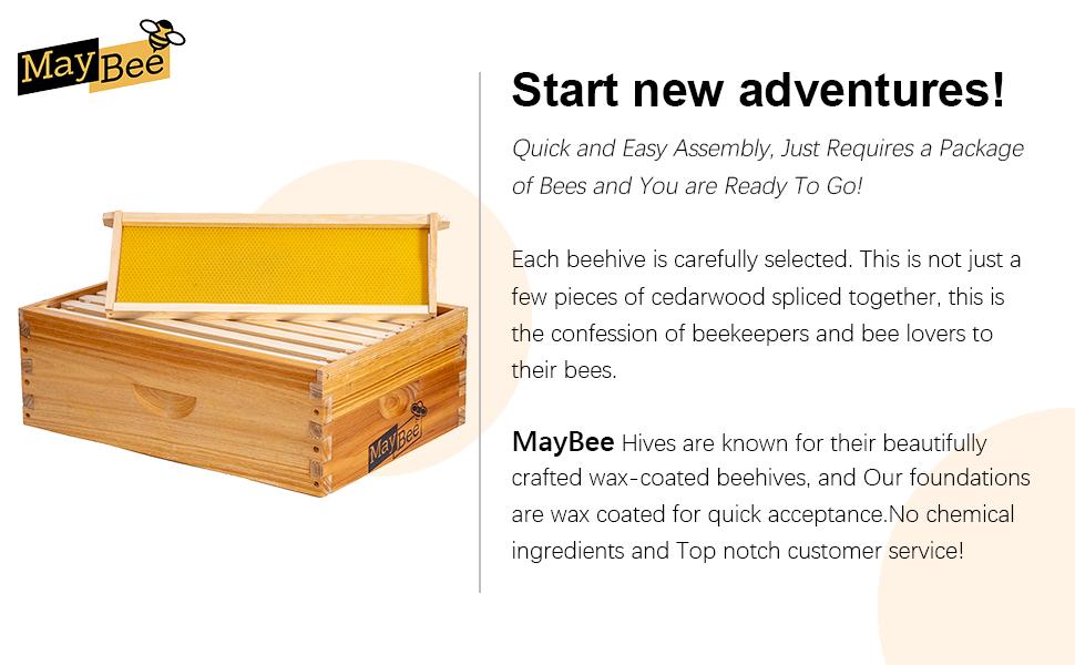 8-Frame Beehive Box Langstroth Medium Super Bee Box for Sale Wax Coated Bee Hives Includes Wooden Frames & Waxed Foundations