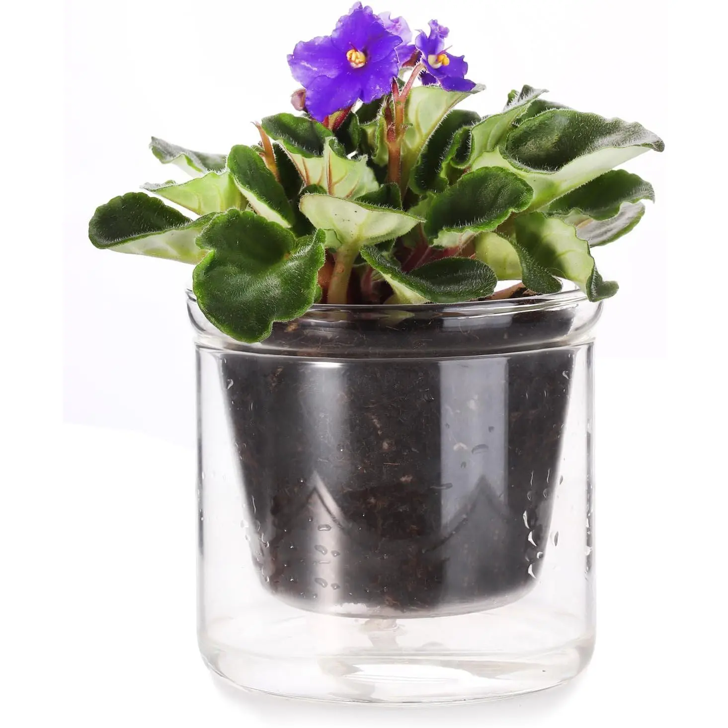 4 Inch Self Watering Pot,African Violet Pot,Bottom Watering Glass Planter for Indoor Plants and Progagation