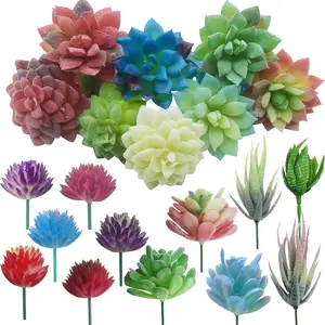 20 count Artificial Succulent   Multicolor Faux  , Cactus Aloe Succulent  in Flocked in Different Type for Birthday  Decor Indoor Garden DIY
