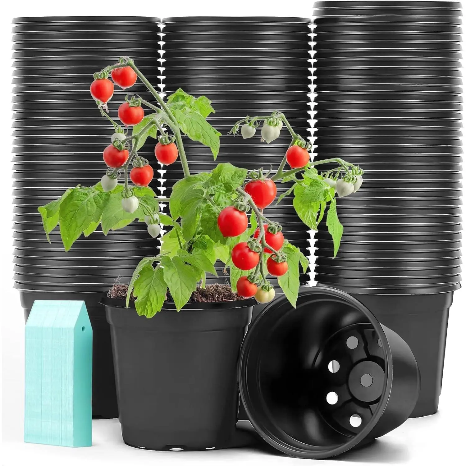 100 Pack Plant Nursery Pots 4 inch Plastic Plant Pots, Durable Reusable Seed Starting Pots for Succulents Plants Vegetables Fruits Seedlings Cuttings Transplanting with 100 Plant Labels (Black)