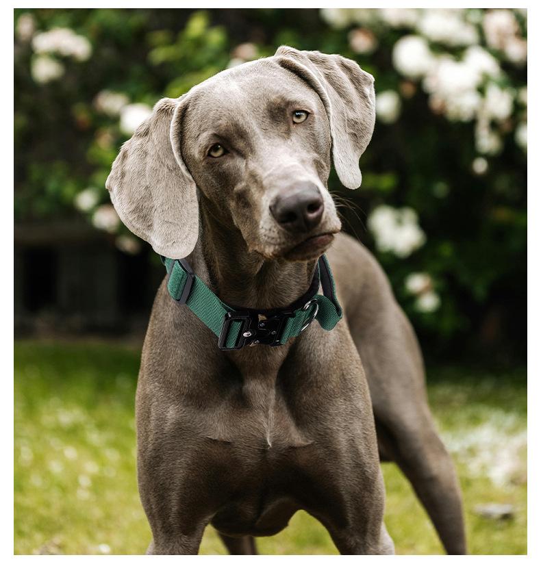 Heavy Duty Tactical Dog Collar with Control Handle, Stylish Pink Fashion No Pull Training Collar for Medium Large Dogs