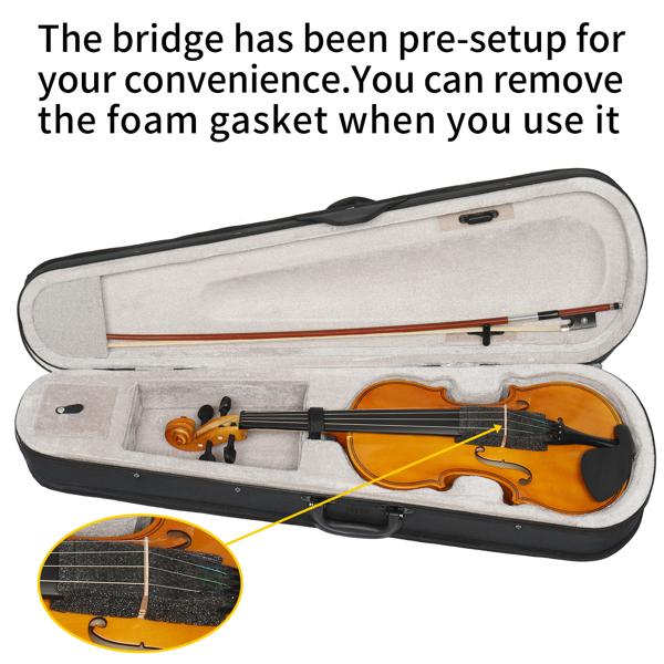 4/4 Violin Set for Adult Beginners and Students with Hard Case, Bow, Shoulder Rest, Rosin, Extra Strings, Pre Set Up Bridge