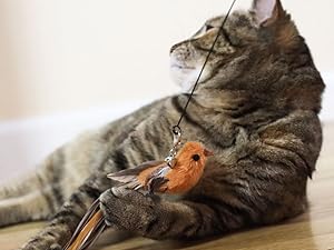 Interactive Bird Simulation Cat Toy Set, Interactive Cat Toys for Indoor Cats, Cat Feather Toy, Self-Holding Suction Base, 7 Replacement Birds, Feathers & Bells, Realistic Bird Impression