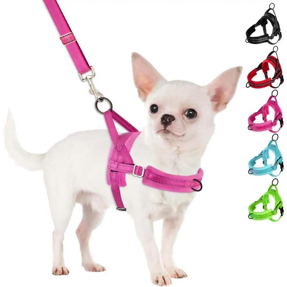 No Pull Small Dog Harness and Leash Set, Puppy Soft Vest Harness Neck & Chest Adjustable, Reflective Lightweight Harness & Anti-Twist Pet Lead Combo for Small Medium Dogs (Fuchsia, XS)